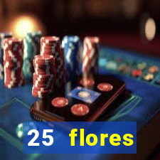 25 flores silvestres com nomes 25 flores silvestres desbravadores